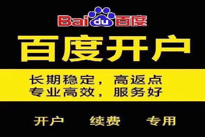 某品牌通过百度广告实现快速增长的案例